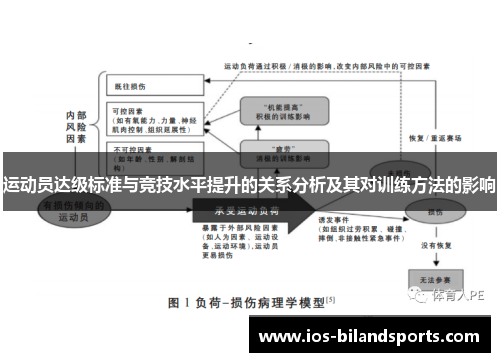 运动员达级标准与竞技水平提升的关系分析及其对训练方法的影响
